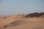 DSC_0425.jpg