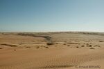 DSC_0453.jpg
