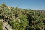 DSC_0729.jpg