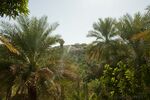 DSC_0731.jpg
