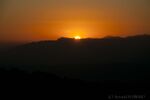 DSC_0766.jpg