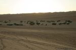 DSC_0351.jpg
