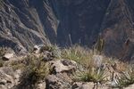 DSC_5187.jpg