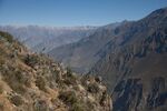 DSC_5188.jpg
