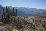DSC_5194.jpg