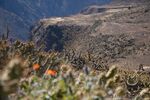 DSC_5195.jpg