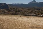 DSC_5247.jpg