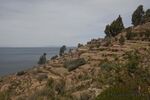 DSC_4970.jpg