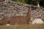 DSC_4591.jpg