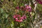 DSC_4596.jpg
