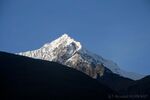 DSC_4609.jpg