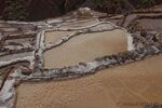 DSC_4720.jpg