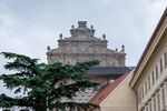 DSC_9015.jpg