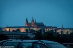 DSC_8784.jpg