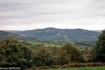 DSC_0784.jpg