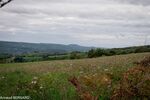 DSC_0786.jpg