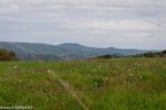 DSC_0787.jpg