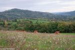 DSC_0789.jpg