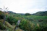 DSC_0791.jpg