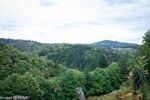 DSC_0792.jpg