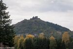 DSC_0800.jpg