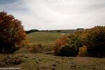 DSC_0702.jpg