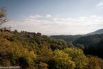 DSC_0394.jpg