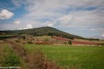 DSC_0411.jpg
