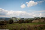 DSC_0414.jpg