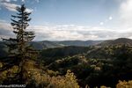 DSC_0420.jpg