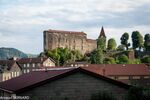 DSC_0431.jpg