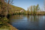 DSC_1455.jpg