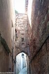 DSC_1506.jpg