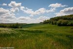 DSC_1592.jpg