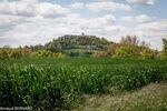 DSC_1594.jpg