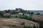 DSC_2193.jpg
