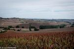 DSC_2195.jpg