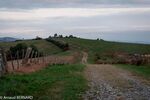 DSC_2431.jpg