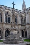 DSC_3195.jpg