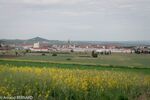 DSC_3028.jpg