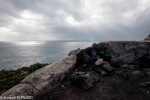 DSC_4165.jpg