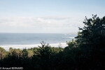DSC_4194.jpg