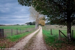 DSC_4028.jpg