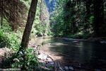 DSC_9813.jpg