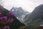 DSC_2535.jpg