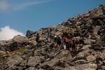 DSC_2962.jpg