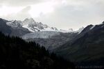 DSC_0728.jpg