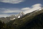 DSC_0798.jpg