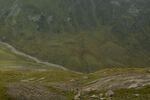 DSC_0555.jpg