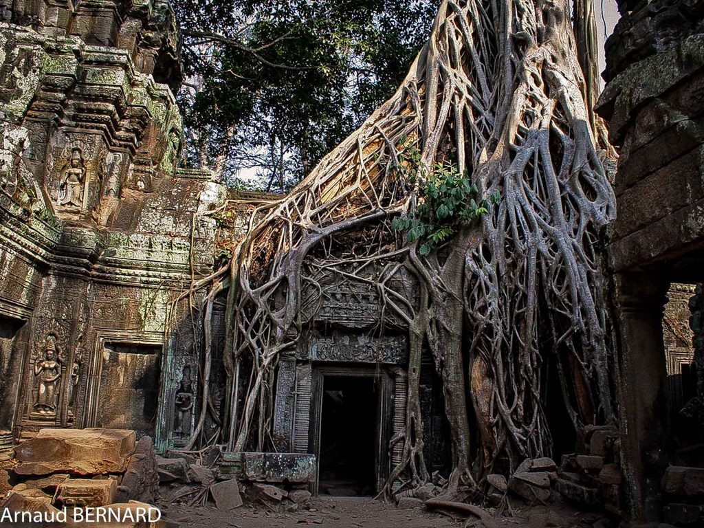 Temple de Ta Prohm